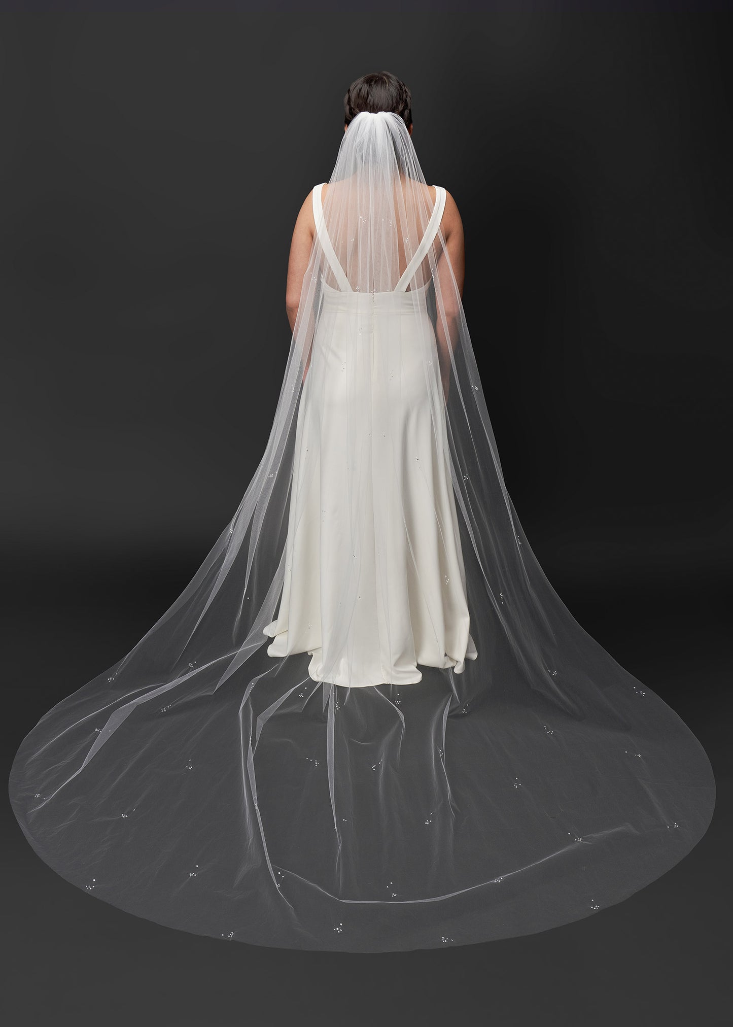 Cathedral Wedding Veil with Crystals and Pearls Embedded